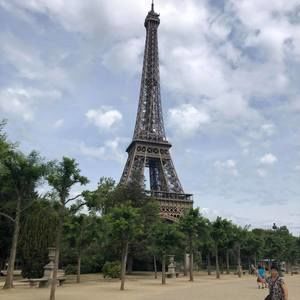 Meet your Posher, Dawn